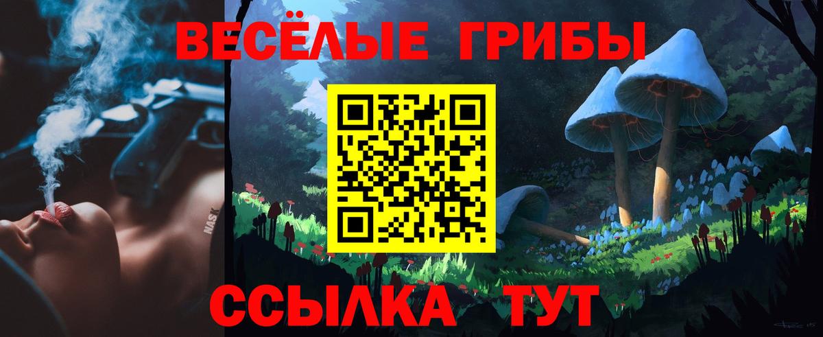 Псилоцибиновые грибы Psilocybine cubensis  Псилоцибиновые грибы MAGIC MUSHROOMS  Черняховск  Вход с VPN 